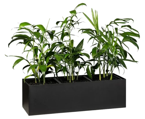 Cabinet Trough Planter