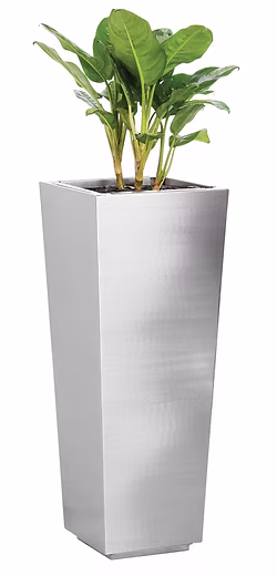 Square Tapered Planter